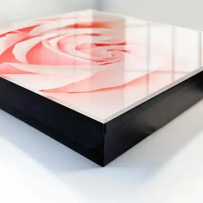 Romantische Rose in Pastelltönen