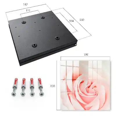 Romantische Rose in Pastelltönen