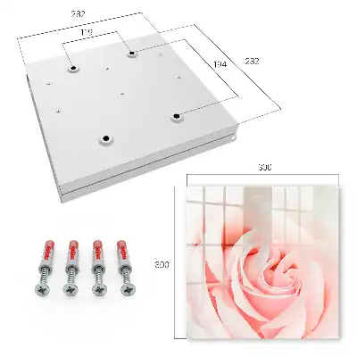 Romantische Rose in Pastelltönen