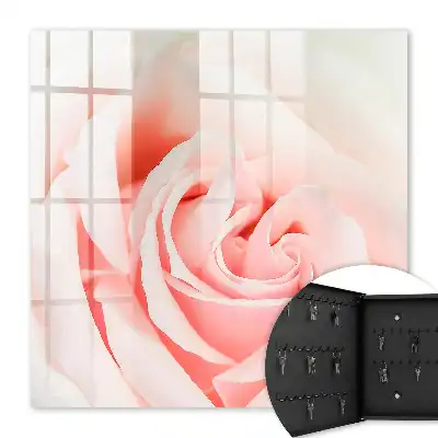 Romantische Rose in Pastelltönen
