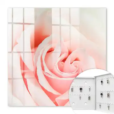 Romantische Rose in Pastelltönen