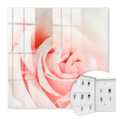 Romantische Rose in Pastelltönen