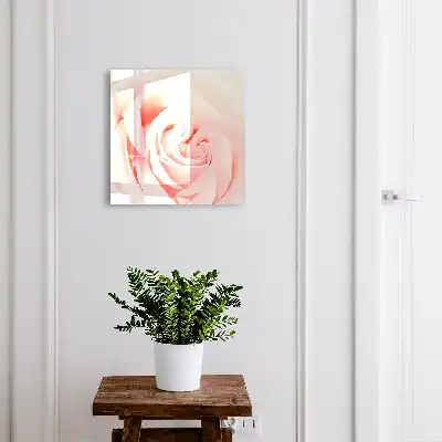 Romantische Rose in Pastelltönen