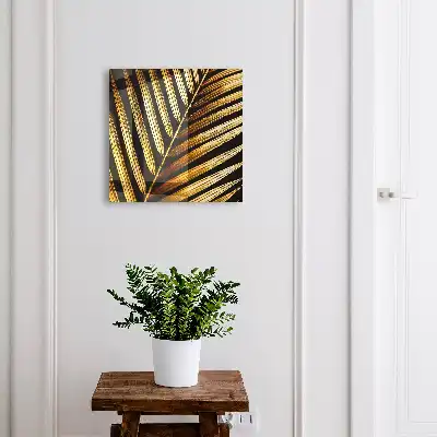 Elegantes Blatt vor schwarzem Hintergrund