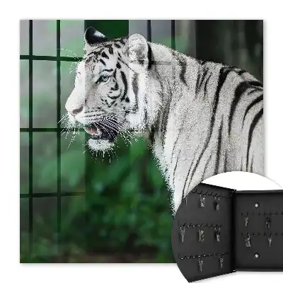 Weißer Tiger in grüner Umgebung