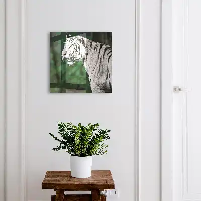 Weißer Tiger in grüner Umgebung