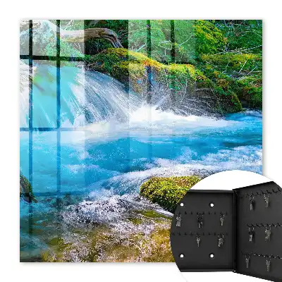 Ein ruhiger Fluss inmitten von Grün