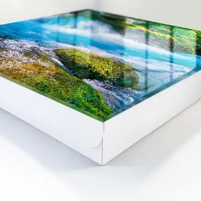 Ein ruhiger Fluss inmitten von Grün