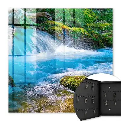 Ein ruhiger Fluss inmitten von Grün