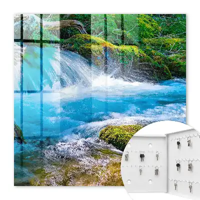 Ein ruhiger Fluss inmitten von Grün