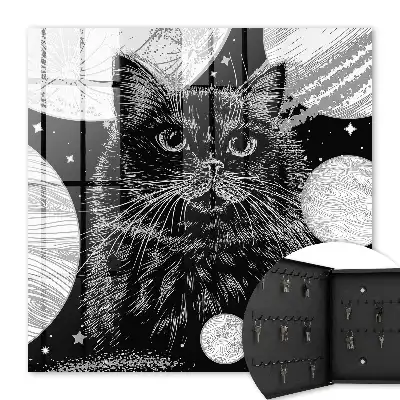 Weltraumkatze Perfekte Harmonie