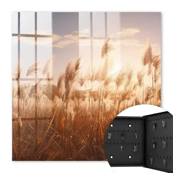 Sonnenuntergang mit Gras vor einem bewölkten Himmel