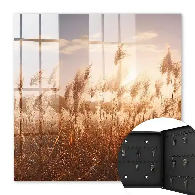 Sonnenuntergang mit Gras vor einem bewölkten Himmel