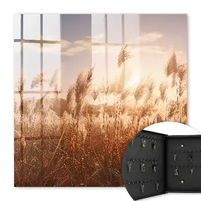 Sonnenuntergang mit Gras vor einem bewölkten Himmel