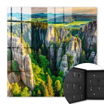 Felsen und grüner Wald
