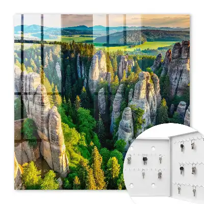 Felsen und grüner Wald
