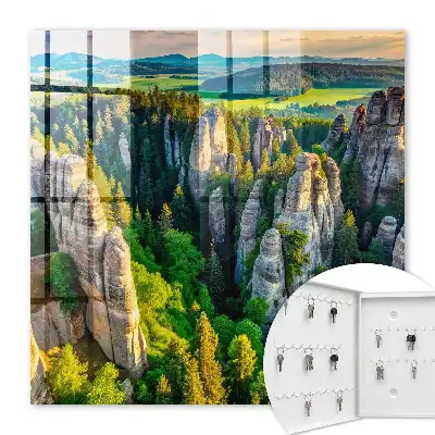 Felsen und grüner Wald