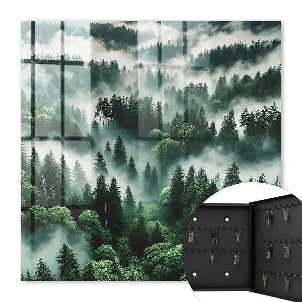 Nebeliger Wald, der Zauber der Stille