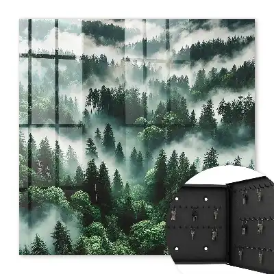 Nebeliger Wald, der Zauber der Stille
