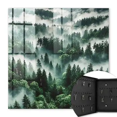 Nebeliger Wald, der Zauber der Stille