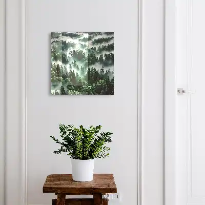 Nebeliger Wald, der Zauber der Stille