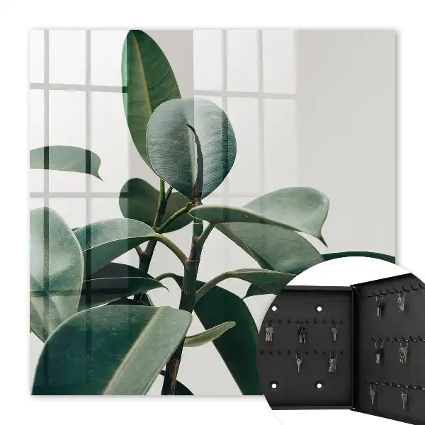 Ficusblätter vor hellem Hintergrund
