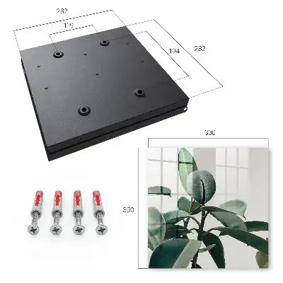 Ficusblätter vor hellem Hintergrund