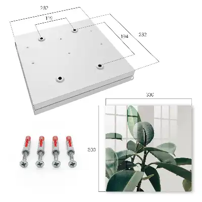 Ficusblätter vor hellem Hintergrund