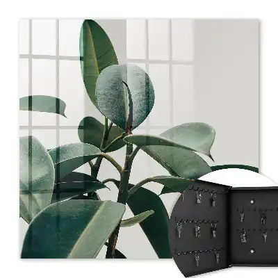Ficusblätter vor hellem Hintergrund