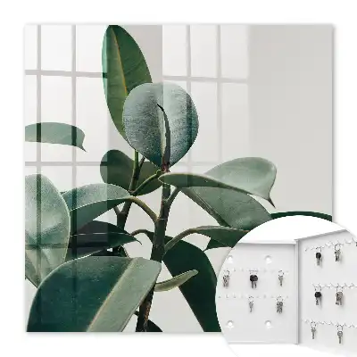 Ficusblätter vor hellem Hintergrund