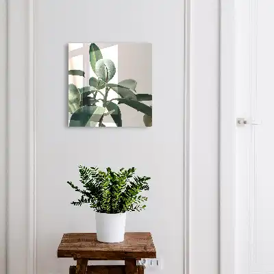 Ficusblätter vor hellem Hintergrund