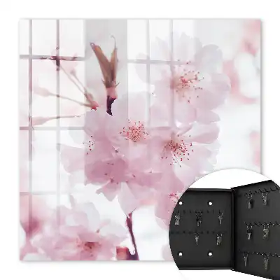 Kirschblüten voller Harmonie