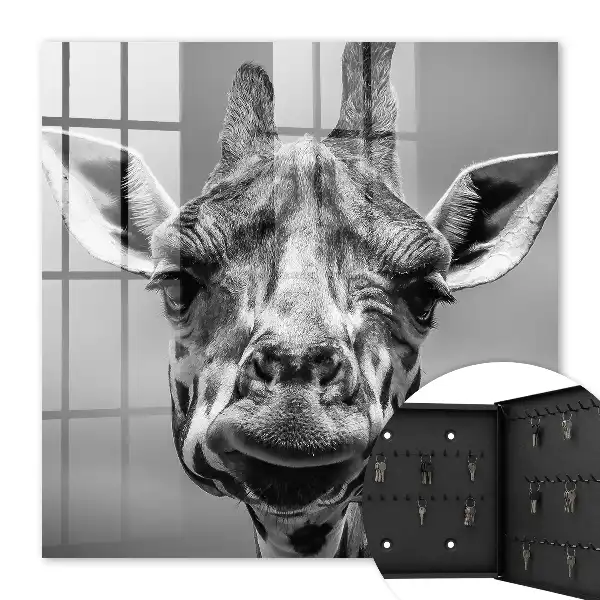 Giraffenporträt in Schwarz-Weiß-Tönen