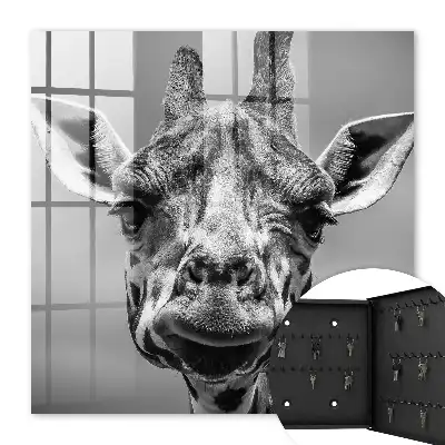 Giraffenporträt in Schwarz-Weiß