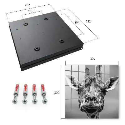 Giraffenporträt in Schwarz-Weiß-Tönen