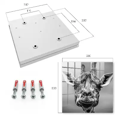 Giraffenporträt in Schwarz-Weiß-Tönen