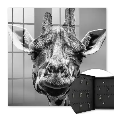 Giraffenporträt in Schwarz-Weiß-Tönen