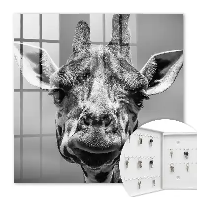 Giraffenporträt in Schwarz-Weiß-Tönen