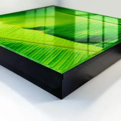 Das Blatt mit zarten Linien