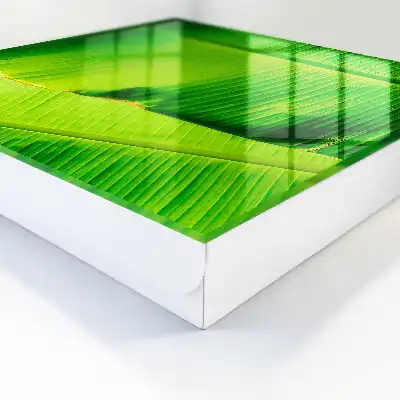 Das Blatt mit zarten Linien