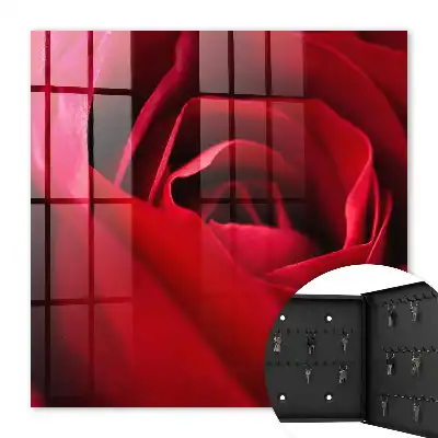 Rose, Nahaufnahme von Rosenblättern