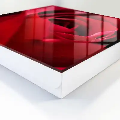 Rose, Nahaufnahme von Rosenblättern