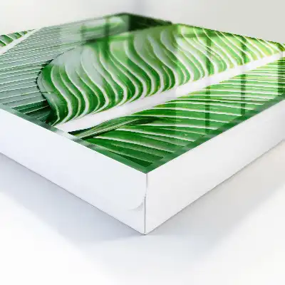 Das Grün der Natur findet in Linien Ausdruck.