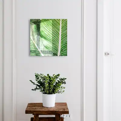 Das Grün der Natur findet in Linien Ausdruck.