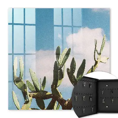 Grüner Kaktus vor blauem Himmel