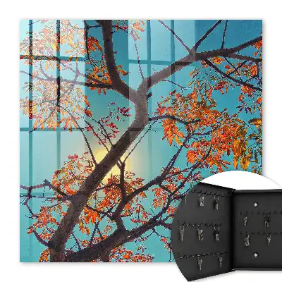 Herbstbaum mit blauem Himmel