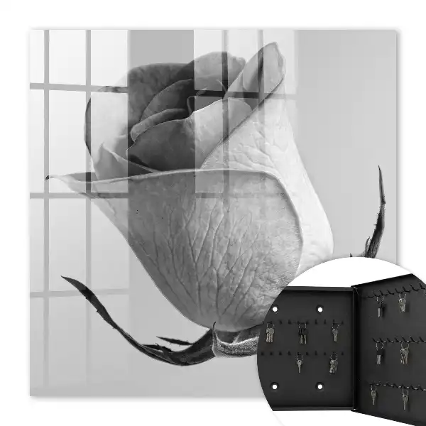 Rose Eleganz Minimalismus Natur