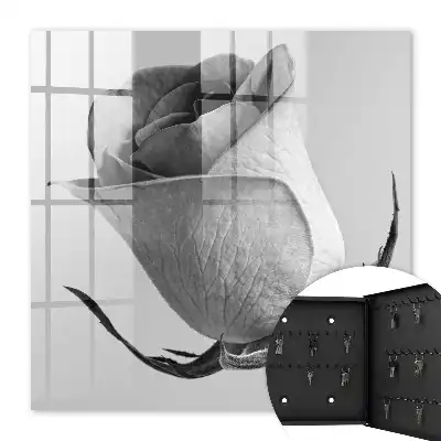 Rose Eleganz Minimalismus Natur
