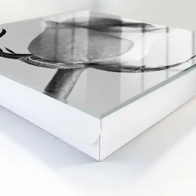 Rose Eleganz Minimalismus Natur