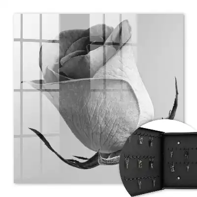 Rose Eleganz Minimalismus Natur